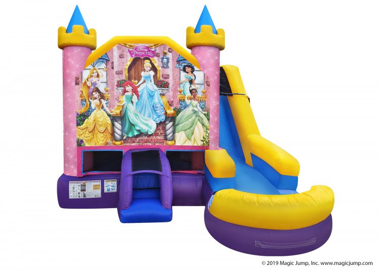 Disney Princess 6in1 Combo (Wet or Dry)