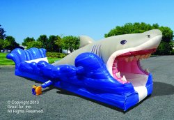 Shark Bite Slip & Slide