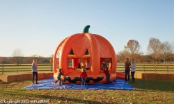 1520Jack20OLantern20DM202 1760120253 Pumpkin Bounce House (Large)